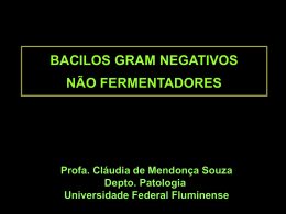 Apresentação do PowerPoint - Universidade Federal Fluminense