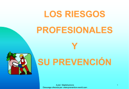 Los Riesgos Profesionales y su Prevención.