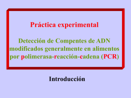 Alu-TPA PCR Kit