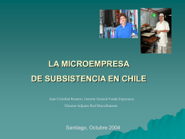 La Microempresa de Subsistencia en Chile.
