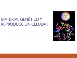 Descargar 2_Medio_Biologia_Materia_Genetica_16-03