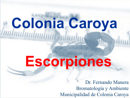 Escorpionismo - Radio María Argentina