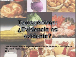 Transgénicos: ¿evidencia no evidente?