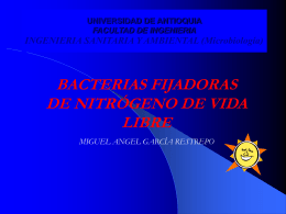 Bacterias fijadoras de nitrógeno de vida libre