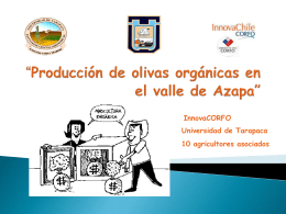 Proyecto Olivas organicas - Producción de olivas orgánicas en el