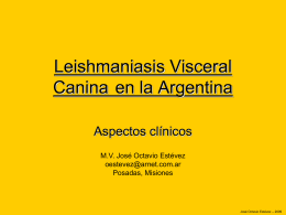 Leishmaniasis Visceral Canina CD Santa Fe