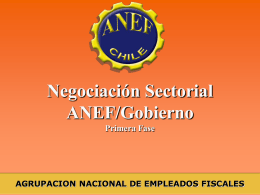 ANEF: Acción y Negociación