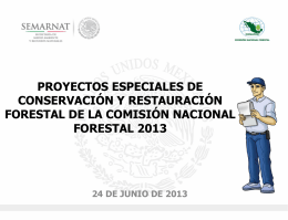 Presentación Proyectos Especiales 2013