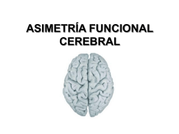 Asimetría Funcional Cerebral: Elementos Históricos