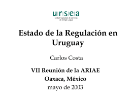 Estado de la Regulación en Uruguay