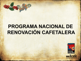 Programa de Renovación de Cafetales