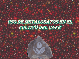 USO DE METALOSATOS EN EL CULTIVO DEL CAFÉ