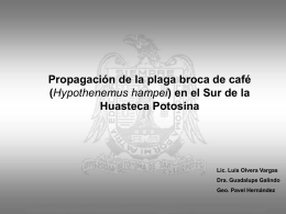 Propagación de la plaga broca de café (Hypothenemus hampei)