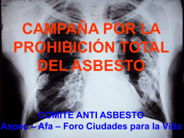 Campaña por la prohbición del asbesto