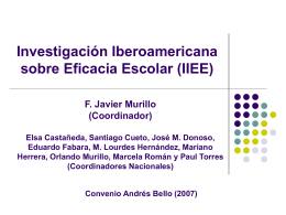 Investigación Iberoamericana sobre Eficacia Escolar (IIEE)