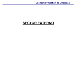 Sector Externo