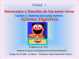 sistema digestivo5A - Liceo Leonardo Murialdo
