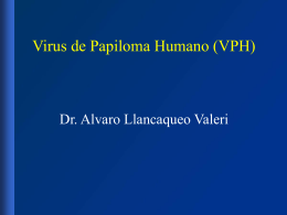 Dr. Alvaro Llancaqueo