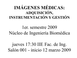 Imágenes Médicas 2009 - Núcleo de Ingeniería Biomédica