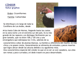 to file - Biodiversidad En Chile