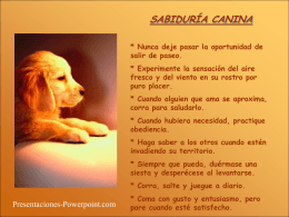 SABIDURÍA CANINA - Presentaciones Power Point