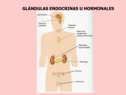 glándulas endocrinas u hormonales las hormonas - E