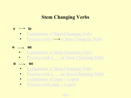 What are e>ie Stem Changing Verbs?