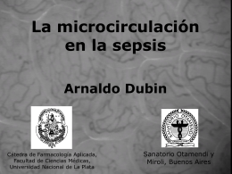 1/ Microcirculación en la sepsis. Dr. Dubin.