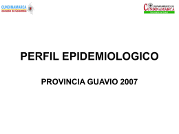 perfil epidemiologico provincia guavio 2007 demografia