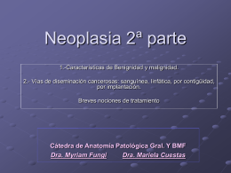 Neoplasia 2 parte 2009