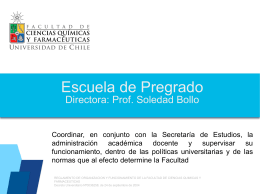 Primer_informe_Esc Pregrado_Nov_2014