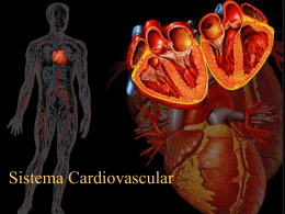 6_Sistema_Cardiovascular_1.
