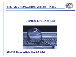 BIENES DE CAMBIO UNL. FCE. Cátedra Auditoría. Unidad II