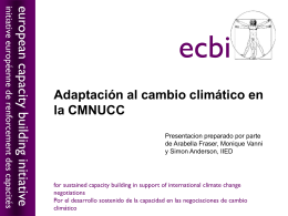 Adaptación al cambio climático en la CMNUCC