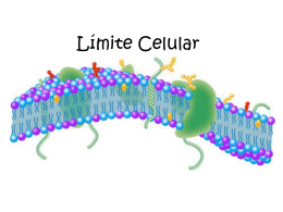 Límites Celulares