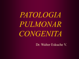 6-Pat.Pulmonar CongÃ©nita(enf)