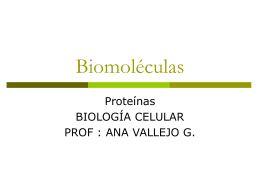 biomoleculas proteinas