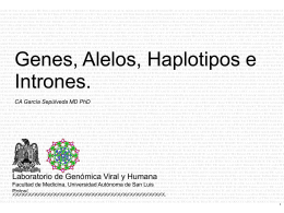 Diapositiva 1 - Universidad Autónoma de San Luis Potosí