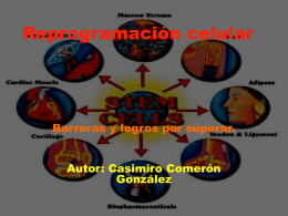 Celulas iPS - Casimiro Comeron Gonzalez