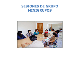 sesiones de grupo minigrupos