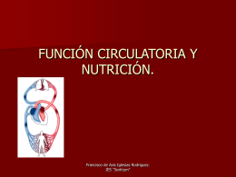 Función circulatoria