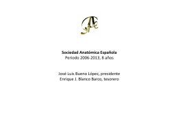 Informe actividades SAE 2006-13