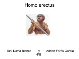 Homo erectus Toni Davia Blanco y Adrián Forés García