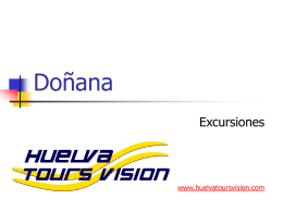 Parque de Doñana - Servicios que ofrece Huelva Tours Vision