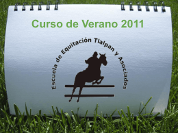 Actividades - Escuela de Equitación Tlalpan y Asociados