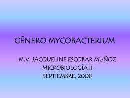 GeNERO_MYCOBACTERIUM_2008