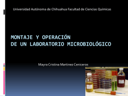 Montaje y Operación de un lab microbiologico