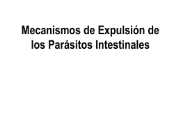 18_Mecanismos_de_Expulsion_de_los_Parasitos_Intestinales