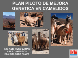 Lamas - Sociedad Argentina de Genética