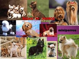 razas de perros - ESPAÑOL OFICIAL MS. MAGALI A. WILMAN